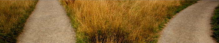 banner1.jpg